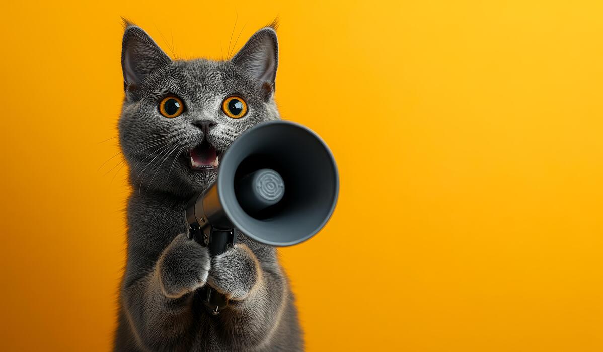 a cat is holding a microphone and making a loud noise the cat is looking at the camera with a surprised expression concept of humor and playfulness as the cat is pretending to be a microphone photo